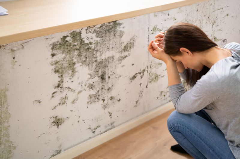 Attic Mold Removal in West Palm Beach, FL