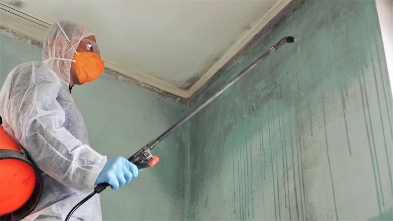 Garage Mold Remediation in Essex County, NJ