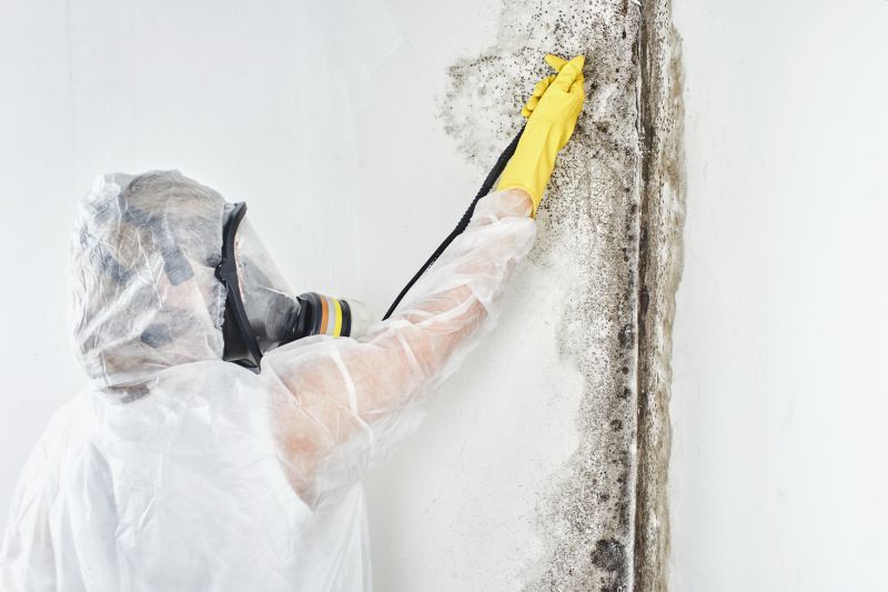 Mold Control in Boynton Beach, FL