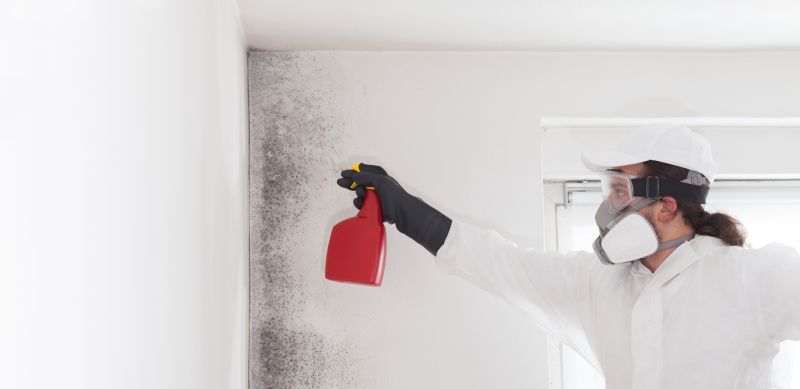 Mold Remediation Service in Fort Worth, TX