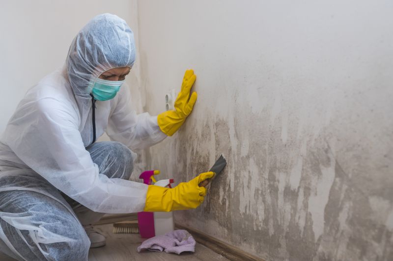 Mold Treatment Service in Broward County, FL