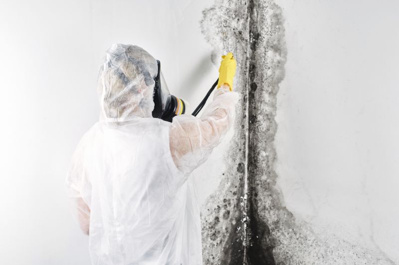 Attic Mold Remediation in Frisco, TX