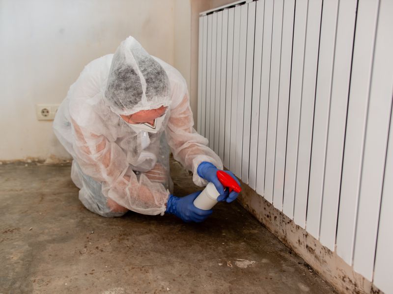 Attic Mold Removal in Broward County, FL
