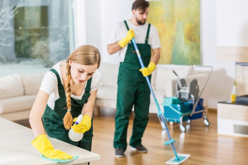 Townhouse Deep Cleaning in Bellevue, WA